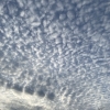 武蔵小杉　きれいな雲